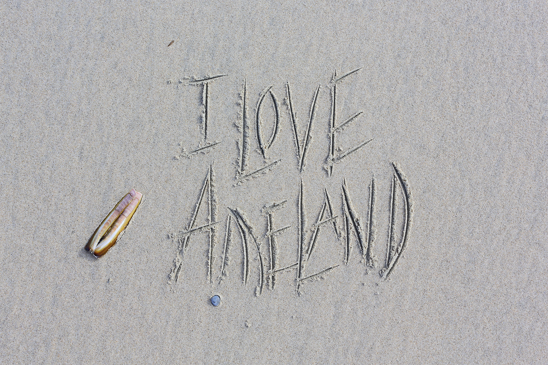 Iloveameland klein